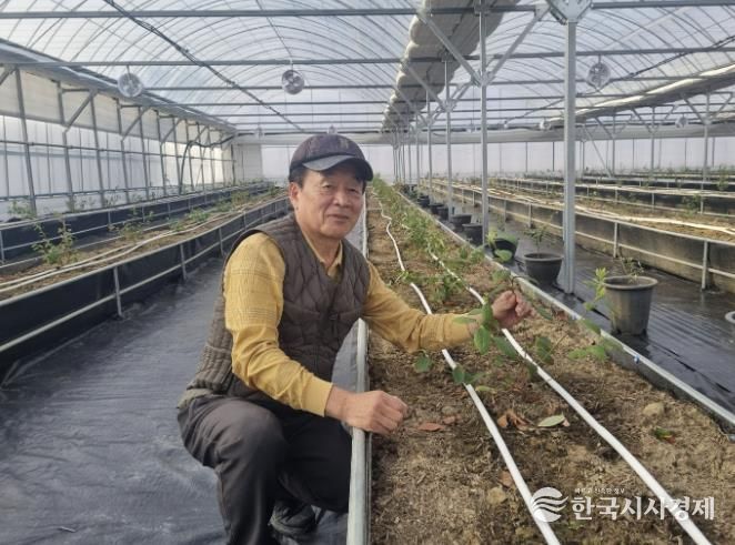 블루베리 하우스