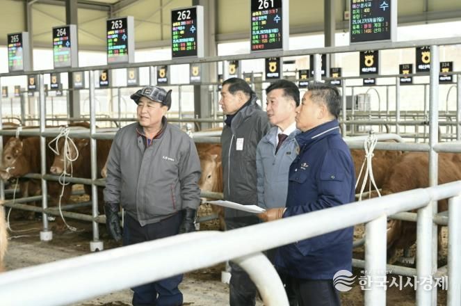 송아지 경매시장 전경