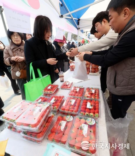 임실군, 설맞이 수도권 소비자 집중공략…직거래장터 인기4(완판된 임실딸기와 토마토)