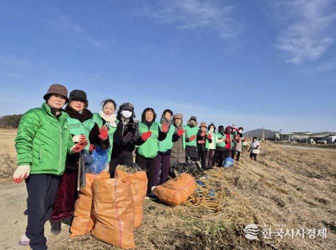 홍성군 결성면 새마을회, 설맞이 환경 정화