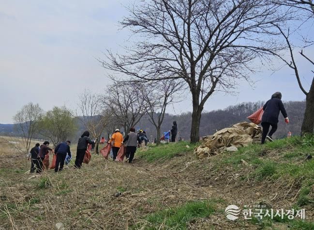 진천군 하천 정화활동 사진