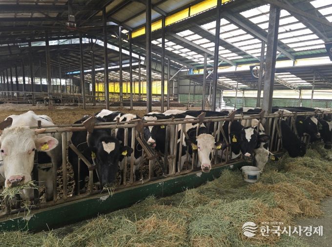 정읍시, 낙농가 경쟁력 강화에 4억 1800만원 투입