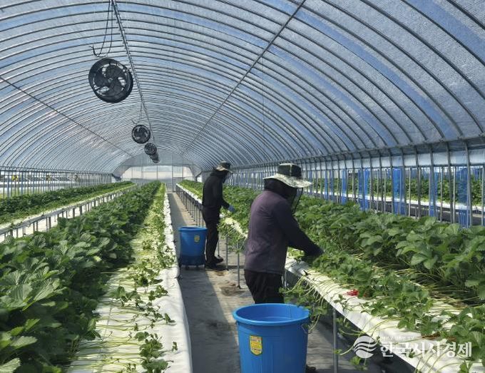 홍성군, 신규농업인 현장실습 교육 연수생 모집