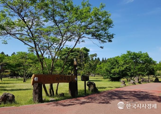 붉은오름자연휴양림