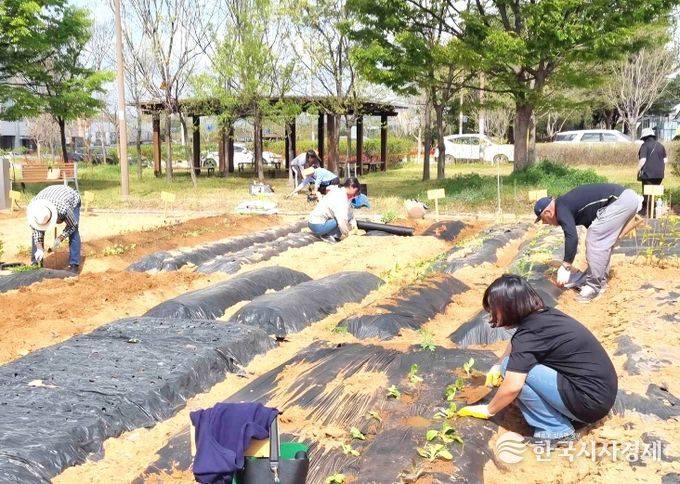 나주시는 도시민의 건전한 여가 활동과 친환경 농업 체험 기회 제공을 위해 시민을 대상으로 오는 3월 10일까지 공영 텃밭 분양을 실시한다