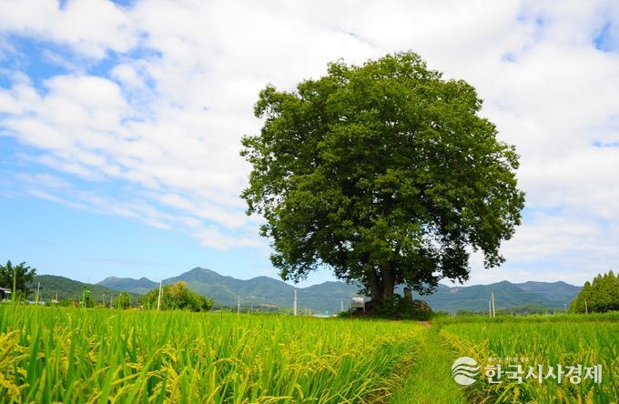 GAP 인증 확대 지원