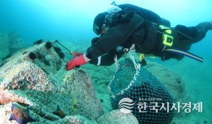 , 임원해역 생태환경 복원‘바다숲 조성사업’추