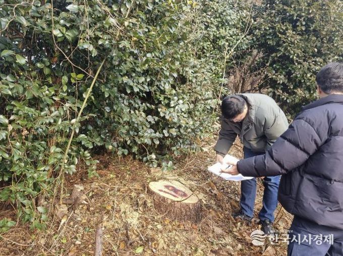 영암군, 소나무재선충병 210ha 집중방제 나선다