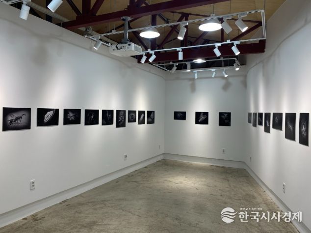 동구청년센터 전시