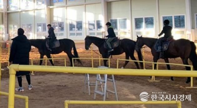 중구, 2026년 붉은 말의 해 학생승마체험 지원사업 참여자 모집