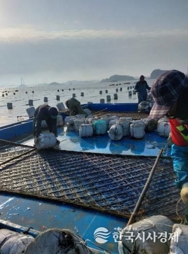 수산산업과김양식계절근로자모집