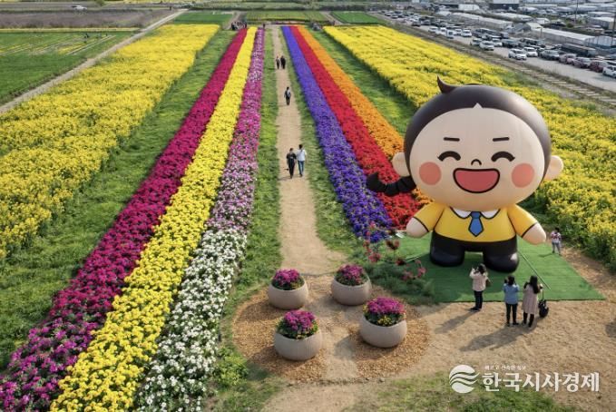 유채꽃축제 조감도