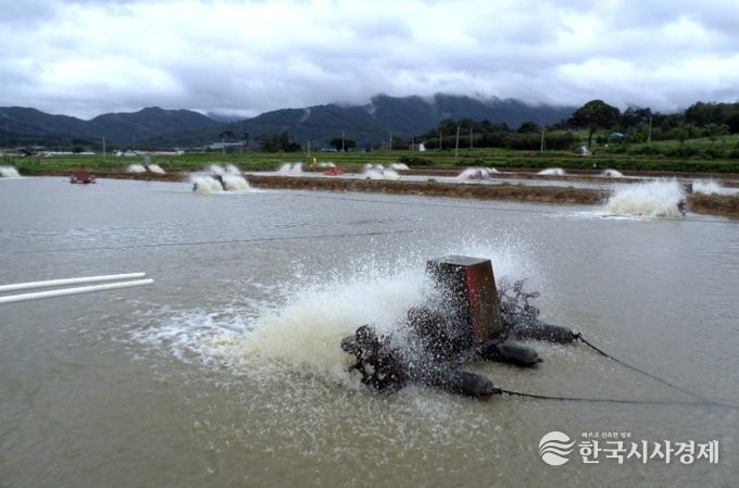 “내수면 양식생물 입식·출하,