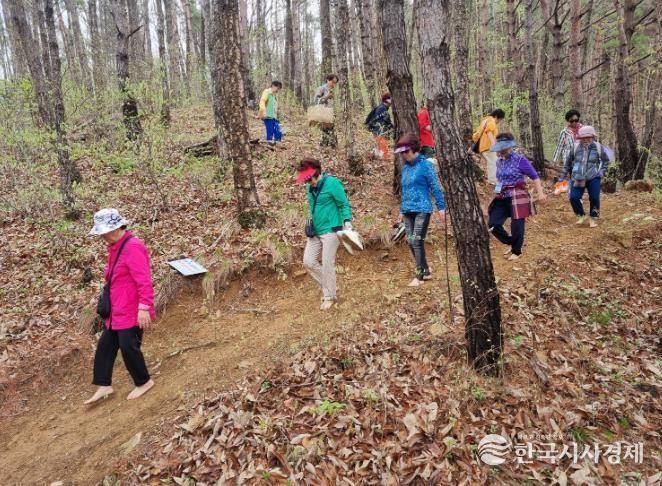 거창 항노화 힐링랜드 맨발걷기 사진.j