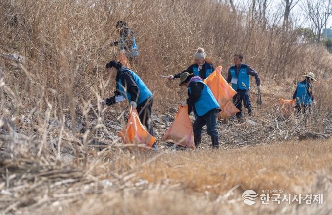 기후위기 대응 ‘블루카본’ 숲 조성 본격 추진