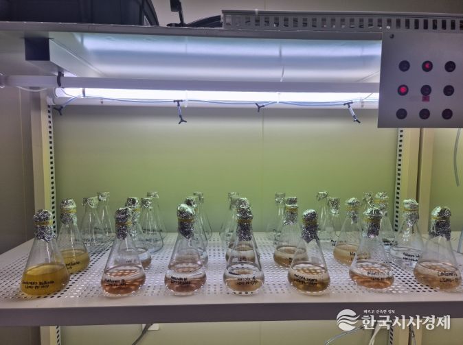 전복 종자 살리는 '첫 밥상' 규조류 무상 공급