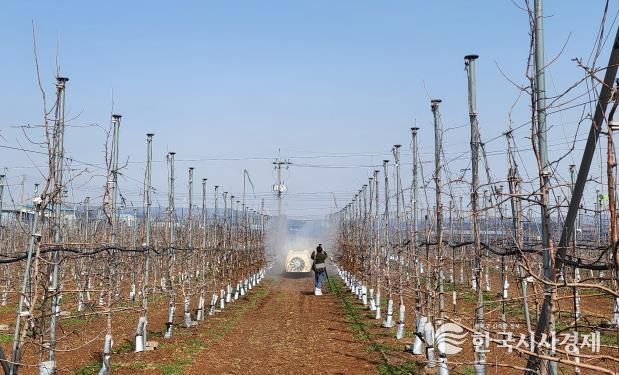 약제 방제하는 모습