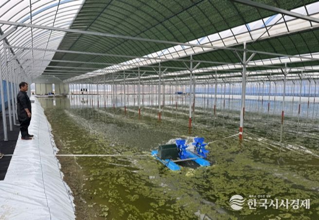 어업인 생산기반(양식장) 조성 현황