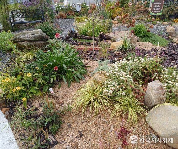 충주시, 2026년‘시민참여형 한평정원 분양제’참여자 모집