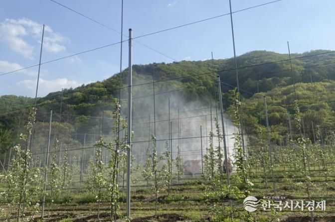 예천군, 과수화상병 사전방제 총력…