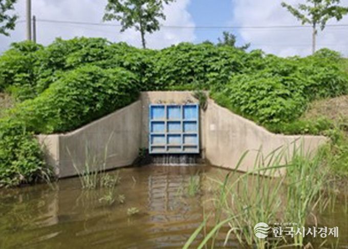 고양시 일산서구, 하천시설물 배수암거 안전점검 실시