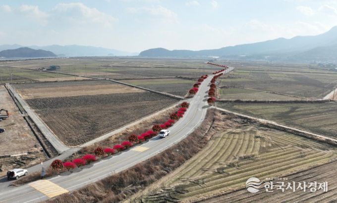 신규 가로수길 조성 조감도