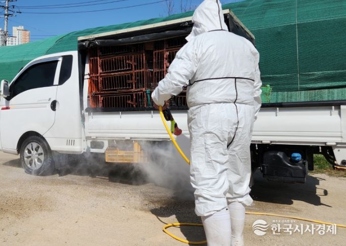 계류장 가축 운송 차량 소독