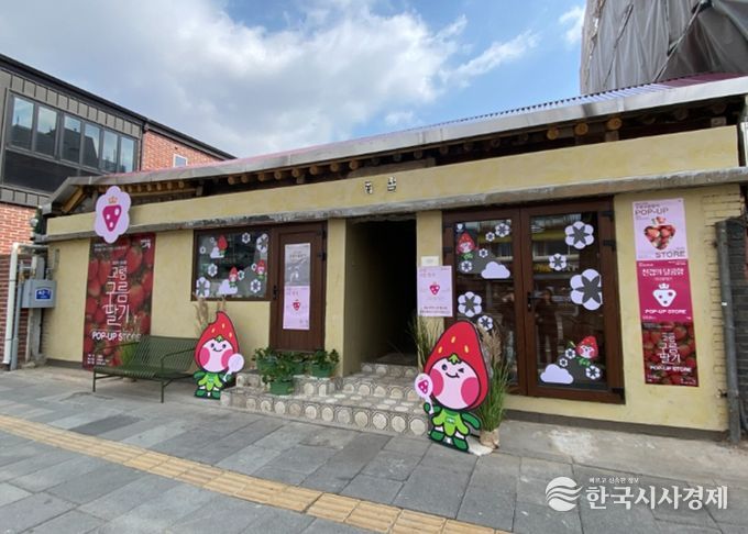 서울 서촌에서 ‘고령구름딸기’팝업스토어 오픈