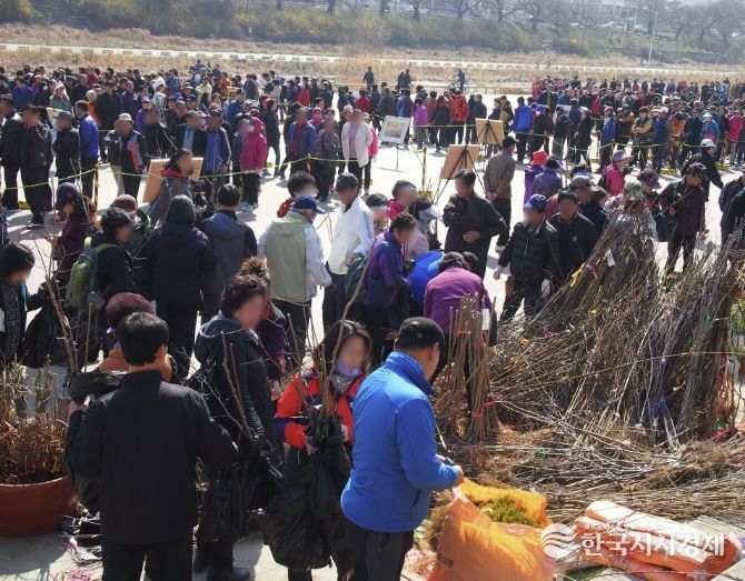 청주시, 식목일 기념 나무 나누어주기 행사 개최