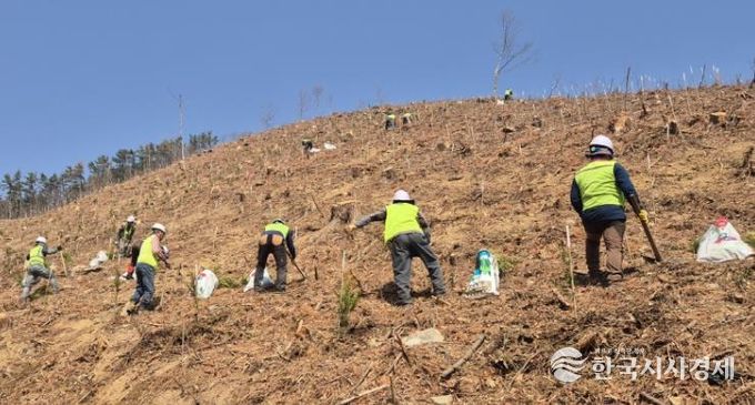 창원특례시, 조림‧숲가꾸기 사업으로 건강한 산림 조성