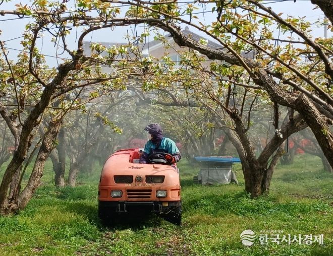 세종시 '개화기 약제 방제, 과수화상병 예방의 첫걸음'