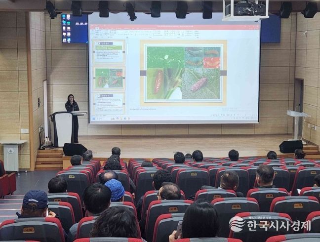 익산시, 토마토뿔나방 예찰·방제 강화