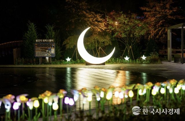 증평 좌구산 별천지공원 야경