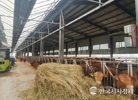 관내 한우농가 내부전경
