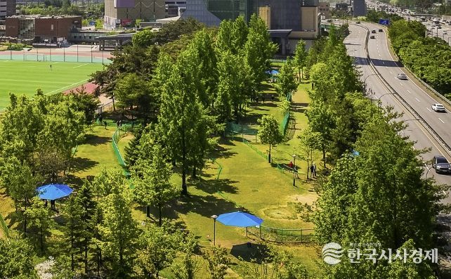 현재 운영 중인 수지구 용인아르피아 파크골프장 전경