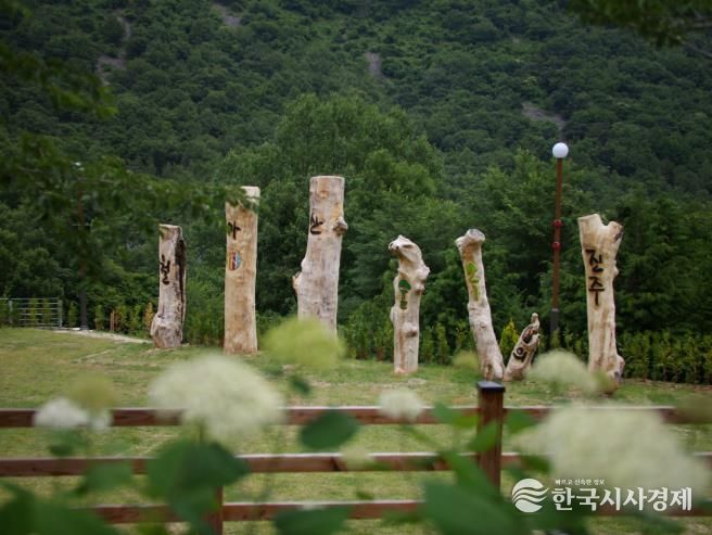 ‘월아산 숲속의 진주’, 산림복지 선도모델 각광 - 월아산 숲속의 진주 장승