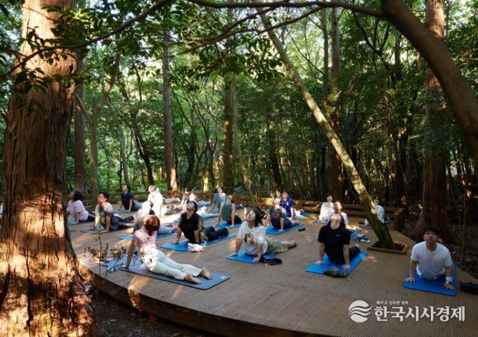숲 요가