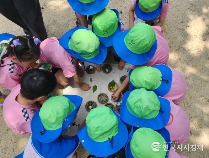 남산유아숲체험원에서 배워요