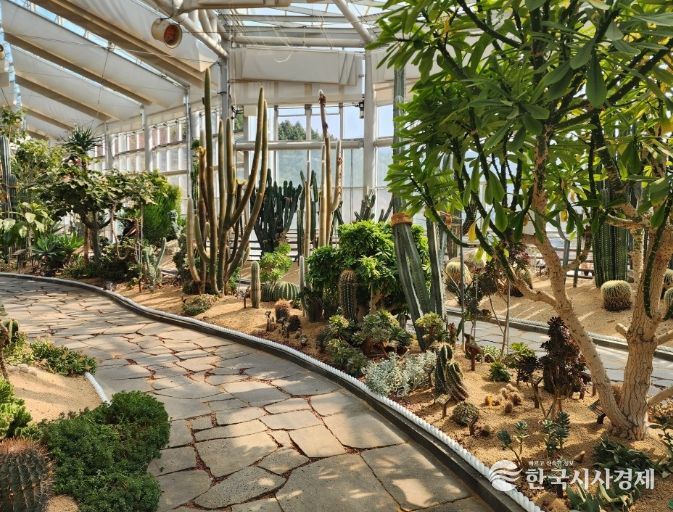 식생 기반 정비 실시