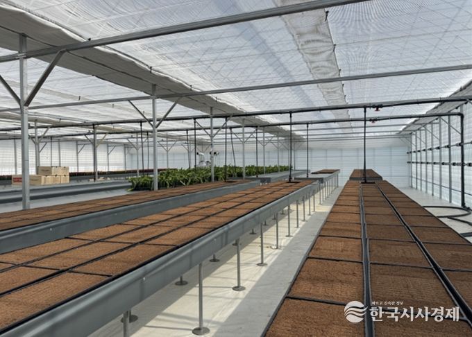 고양시, 고품질 선인장 육성 목적 ‘접목선인장 무병종묘장’ 조성