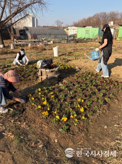 광명시 광명5동 청소년지도협의회는 지난 28일 다가오는 식목일을 기념해 위원들과 함께 봄꽃 심기 행사를 진행했다.