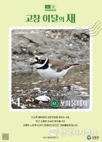 고창갯벌 이달의 새(4월)_꼬마물떼새 홍보 이미지