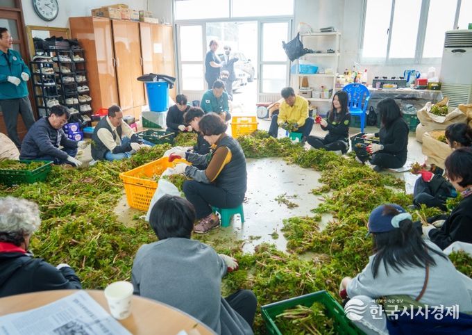 울릉군 농촌일손돕기 본격 추진