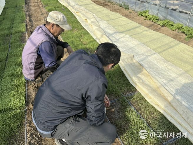 포천시농업기술센터, 벼 발아율 저하 대비 안전육묘 현장기술지원 강화