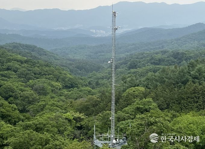 광릉 낙엽활엽수림 플럭스타워