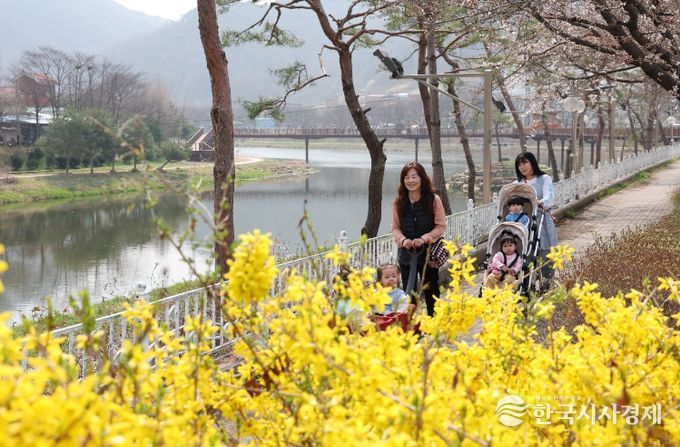 노란 개나리가 만발한 괴산 동진천변 산책로를 따라 가족 단위 나들이객이 산책을 즐기고 있다