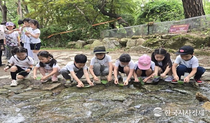 금천구가 2025년 진행한 숲해설 프로그램