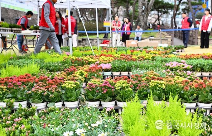 대전 중구, 제81회 식목일 기념‘내 나무 갖기’행사 성황리 개최