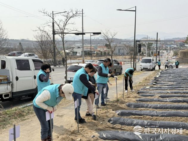 사랑의 텃밭 사진