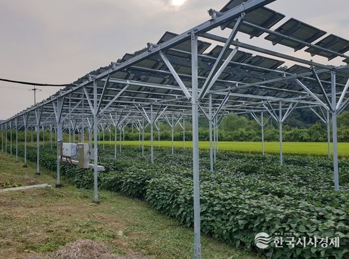 파평면 덕천리 스마트팜 영농형태양광 시설
